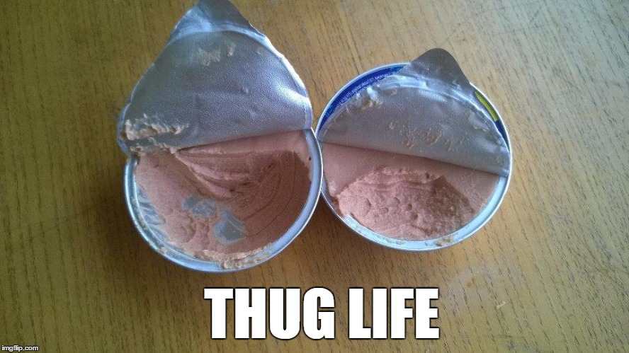 THUG LIFE | image tagged in patete thug life | made w/ Imgflip meme maker