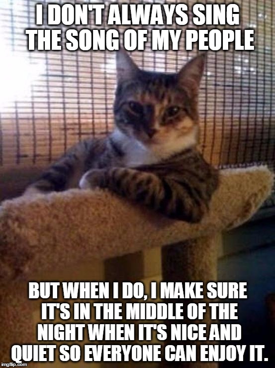 cats | I DON'T ALWAYS SING THE SONG OF MY PEOPLE BUT WHEN I DO, I MAKE SURE IT'S IN THE MIDDLE OF THE NIGHT WHEN IT'S NICE AND QUIET SO EVERYONE CA | image tagged in cats | made w/ Imgflip meme maker