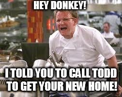 Gordon ramsey | HEY DONKEY! I TOLD YOU TO CALL TODD TO GET YOUR NEW HOME! | image tagged in gordon ramsey | made w/ Imgflip meme maker