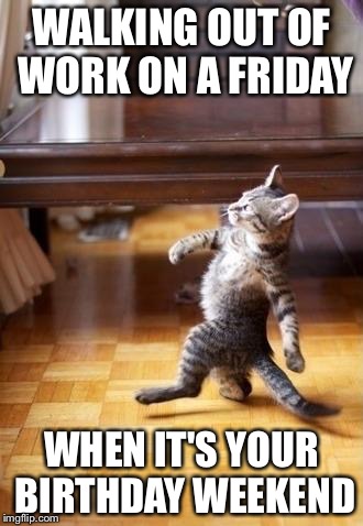 Cool Cat Stroll | WALKING OUT OF WORK ON A FRIDAY WHEN IT'S YOUR BIRTHDAY WEEKEND | image tagged in memes,cool cat stroll | made w/ Imgflip meme maker