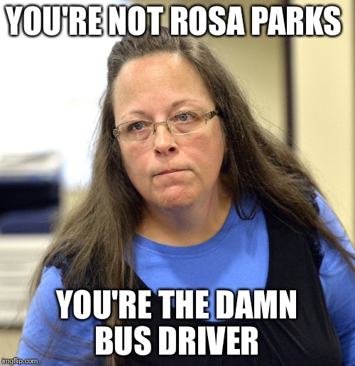 YOU'RE NOT ROSA PARKS YOU'RE THE DAMN BUS DRIVER | image tagged in kim davis | made w/ Imgflip meme maker