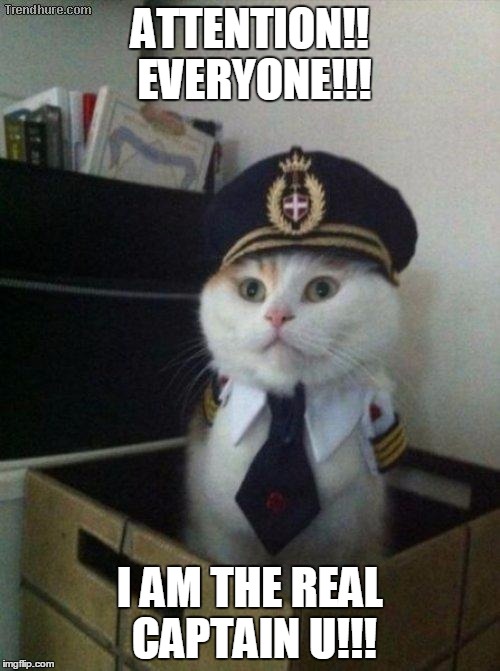 Captain Cat | ATTENTION!! EVERYONE!!! I AM THE REAL CAPTAIN U!!! | image tagged in captain cat | made w/ Imgflip meme maker