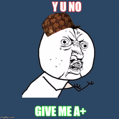 Y U No | Y U NO GIVE ME A+ | image tagged in memes,y u no,scumbag | made w/ Imgflip meme maker