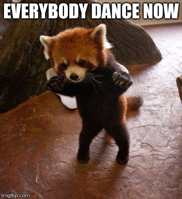 Animals to humans | EVERYBODY DANCE NOW | image tagged in animals to humans | made w/ Imgflip meme maker