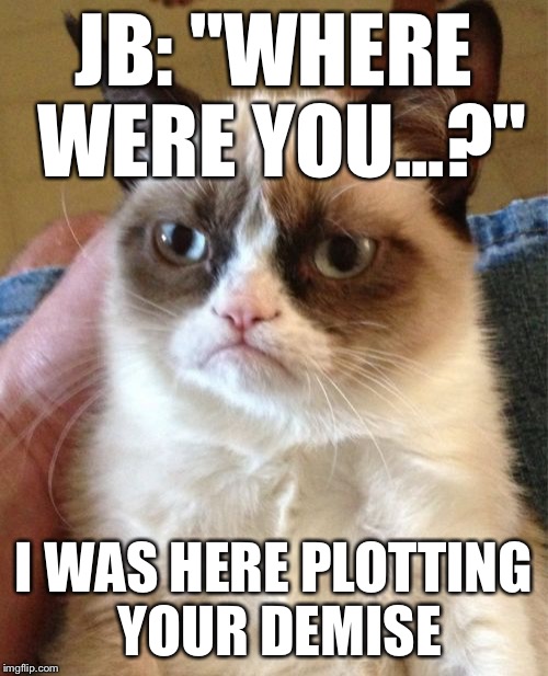 Grumpy Cat Meme | JB: "WHERE WERE YOU...?" I WAS HERE PLOTTING YOUR DEMISE | image tagged in memes,grumpy cat | made w/ Imgflip meme maker