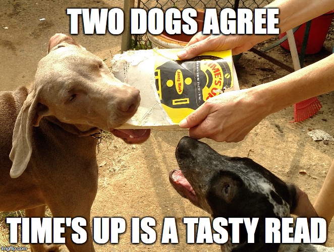 TIME'S UP | TWO DOGS AGREE TIME'S UP IS A TASTY READ | image tagged in two dogs,dogs eating book,time's up,janey mack | made w/ Imgflip meme maker