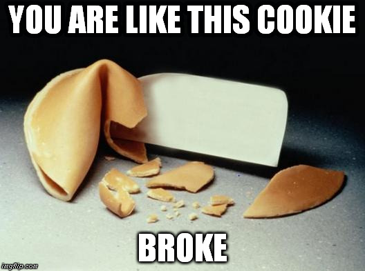 broke cookie | YOU ARE LIKE THIS COOKIE BROKE | image tagged in fortune cookie,freeadvizor | made w/ Imgflip meme maker