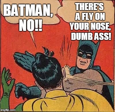 Batman Slapping Robin Meme | BATMAN,  NO!! THERE'S A FLY ON YOUR NOSE,  DUMB ASS! | image tagged in memes,batman slapping robin | made w/ Imgflip meme maker