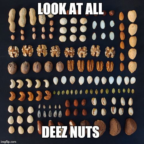 LOOK AT ALL DEEZ NUTS | image tagged in ha ha,got emm | made w/ Imgflip meme maker