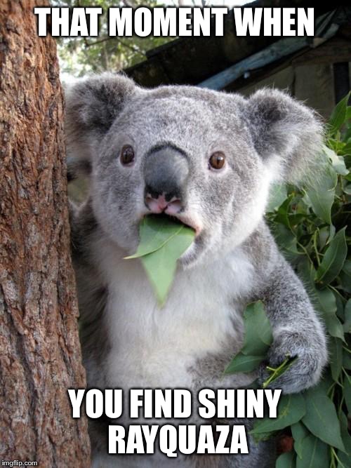 Surprised Koala | THAT MOMENT WHEN YOU FIND SHINY RAYQUAZA | image tagged in memes,surprised koala | made w/ Imgflip meme maker