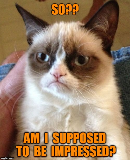 Grumpy Cat Meme | SO?? AM  I  SUPPOSED TO  BE  IMPRESSED? | image tagged in memes,grumpy cat | made w/ Imgflip meme maker