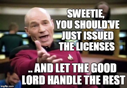 Picard Wtf Meme | SWEETIE,  YOU SHOULD'VE JUST ISSUED THE LICENSES .. AND LET THE GOOD LORD HANDLE THE REST | image tagged in memes,picard wtf | made w/ Imgflip meme maker