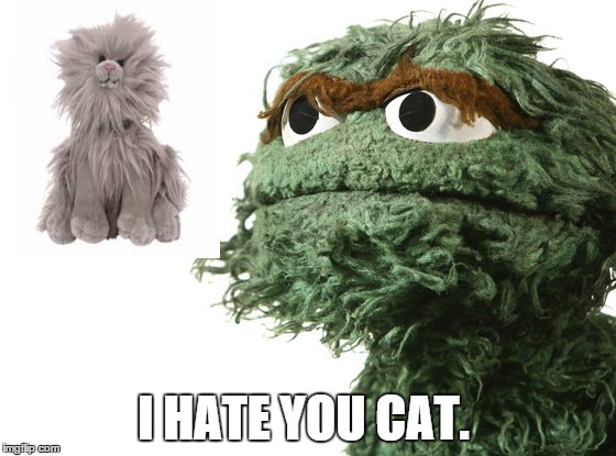 oscar and smelly cat | I HATE YOU CAT. | image tagged in oscar | made w/ Imgflip meme maker