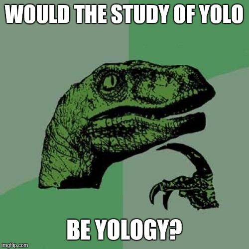 Philosoraptor | WOULD THE STUDY OF YOLO BE YOLOGY? | image tagged in memes,philosoraptor | made w/ Imgflip meme maker