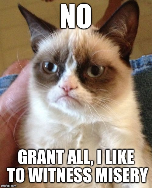 Grumpy Cat Meme | NO GRANT ALL, I LIKE TO WITNESS MISERY | image tagged in memes,grumpy cat | made w/ Imgflip meme maker