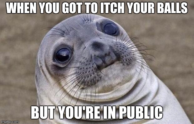 All you guys out there can relate to this | WHEN YOU GOT TO ITCH YOUR BALLS BUT YOU'RE IN PUBLIC | image tagged in memes,awkward moment sealion | made w/ Imgflip meme maker