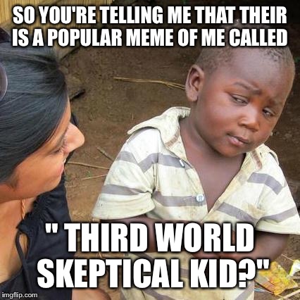 Third World Skeptical Kid Meme | SO YOU'RE TELLING ME THAT THEIR IS A POPULAR MEME OF ME CALLED " THIRD WORLD SKEPTICAL KID?" | image tagged in memes,third world skeptical kid | made w/ Imgflip meme maker