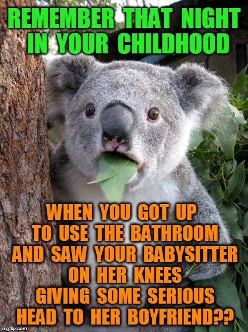 Surprised Koala | REMEMBER  THAT  NIGHT  IN  YOUR  CHILDHOOD WHEN  YOU  GOT  UP  TO  USE  THE  BATHROOM  AND  SAW  YOUR  BABYSITTER  ON  HER  KNEES  GIVING  S | image tagged in memes,surprised koala | made w/ Imgflip meme maker