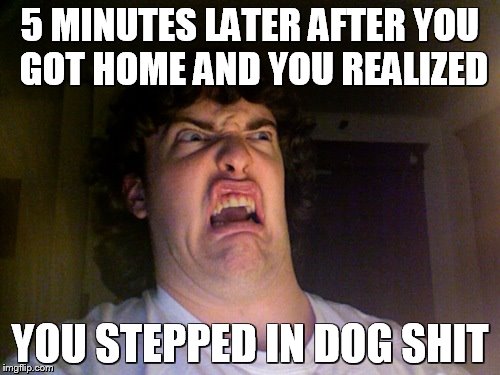 Oh No Meme | 5 MINUTES LATER AFTER YOU GOT HOME AND YOU REALIZED YOU STEPPED IN DOG SHIT | image tagged in memes,oh no | made w/ Imgflip meme maker