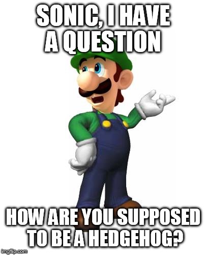 Logic Luigi | SONIC, I HAVE A QUESTION HOW ARE YOU SUPPOSED TO BE A HEDGEHOG? | image tagged in logic luigi | made w/ Imgflip meme maker