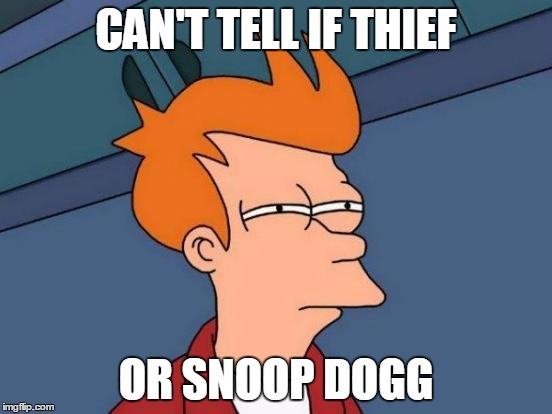 Futurama Fry Meme | CAN'T TELL IF THIEF OR SNOOP DOGG | image tagged in memes,futurama fry | made w/ Imgflip meme maker