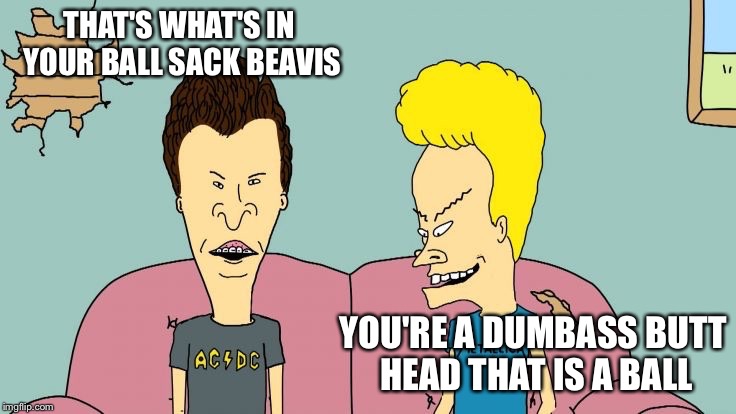 Bravos and Butthead | THAT'S WHAT'S IN YOUR BALL SACK BEAVIS YOU'RE A DUMBASS BUTT HEAD THAT IS A BALL | image tagged in bravos and butthead | made w/ Imgflip meme maker