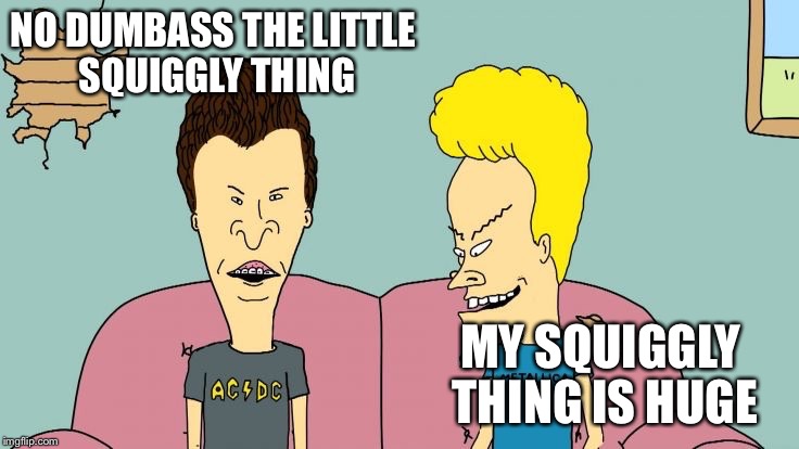 Bravos and Butthead | NO DUMBASS THE LITTLE SQUIGGLY THING MY SQUIGGLY THING IS HUGE | image tagged in bravos and butthead | made w/ Imgflip meme maker