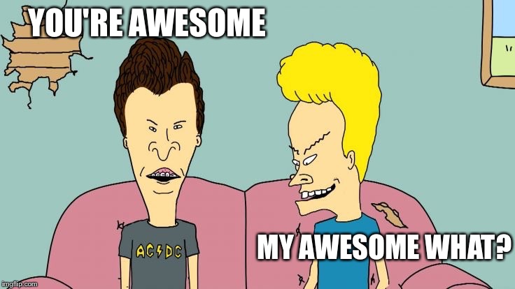 Bravos and Butthead | YOU'RE AWESOME MY AWESOME WHAT? | image tagged in bravos and butthead | made w/ Imgflip meme maker