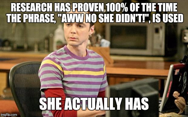 Sheldon Big Bang Theory  | RESEARCH HAS PROVEN 100% OF THE TIME THE PHRASE, "AWW NO SHE DIDN'T!", IS USED SHE ACTUALLY HAS | image tagged in sheldon big bang theory  | made w/ Imgflip meme maker