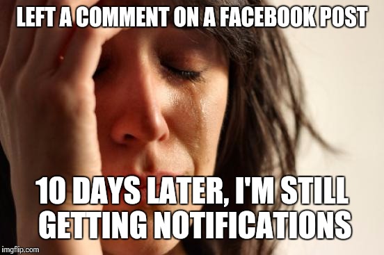 First World Problems | LEFT A COMMENT ON A FACEBOOK POST 10 DAYS LATER, I'M STILL GETTING NOTIFICATIONS | image tagged in memes,first world problems | made w/ Imgflip meme maker