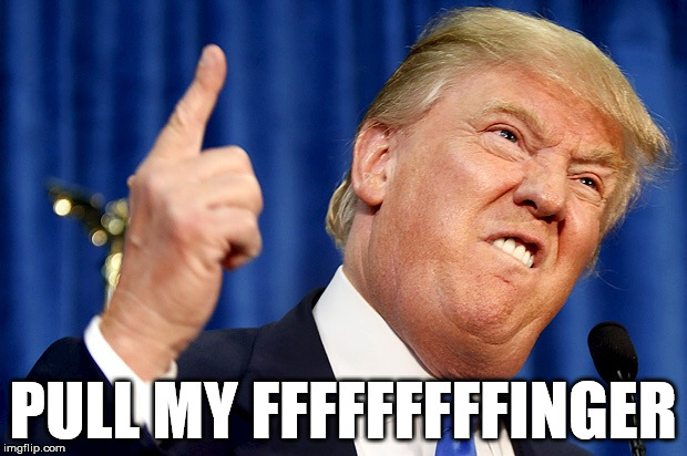 fuuurrt | PULL MY FFFFFFFFFINGER | image tagged in trump | made w/ Imgflip meme maker