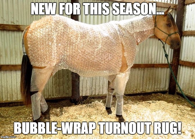 NEW FOR THIS SEASON... BUBBLE-WRAP TURNOUT RUG! | image tagged in horse,bubbles | made w/ Imgflip meme maker