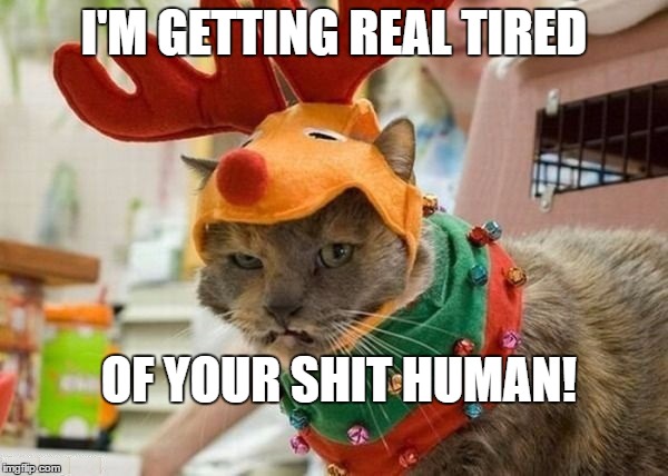 I'm getting real tired of your shit | I'M GETTING REAL TIRED OF YOUR SHIT HUMAN! | image tagged in tired of your shit human | made w/ Imgflip meme maker