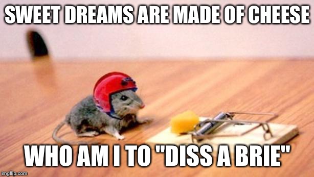 Eurythmic Mouse | SWEET DREAMS ARE MADE OF CHEESE WHO AM I TO "DISS A BRIE" | image tagged in mouse trap,memes | made w/ Imgflip meme maker