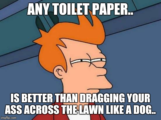 Futurama Fry Meme | ANY TOILET PAPER.. IS BETTER THAN DRAGGING YOUR ASS ACROSS THE LAWN LIKE A DOG.. | image tagged in memes,futurama fry | made w/ Imgflip meme maker