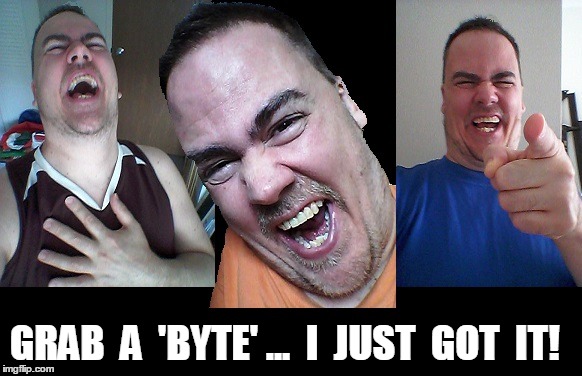 LMAO! | GRAB  A  'BYTE' ...  I  JUST  GOT  IT! | image tagged in lmao | made w/ Imgflip meme maker