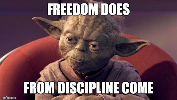 Yoda Wisdom | FREEDOM DOES FROM DISCIPLINE COME | image tagged in yoda wisdom | made w/ Imgflip meme maker