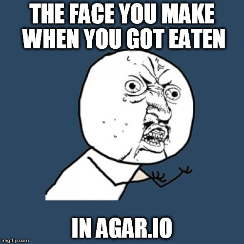 Y U No Meme | THE FACE YOU MAKE WHEN YOU GOT EATEN IN AGAR.IO | image tagged in memes,y u no | made w/ Imgflip meme maker