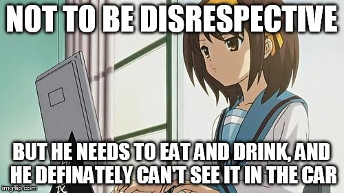 Haruhi Annoyed | NOT TO BE DISRESPECTIVE BUT HE NEEDS TO EAT AND DRINK, AND HE DEFINATELY CAN'T SEE IT IN THE CAR | image tagged in haruhi annoyed | made w/ Imgflip meme maker