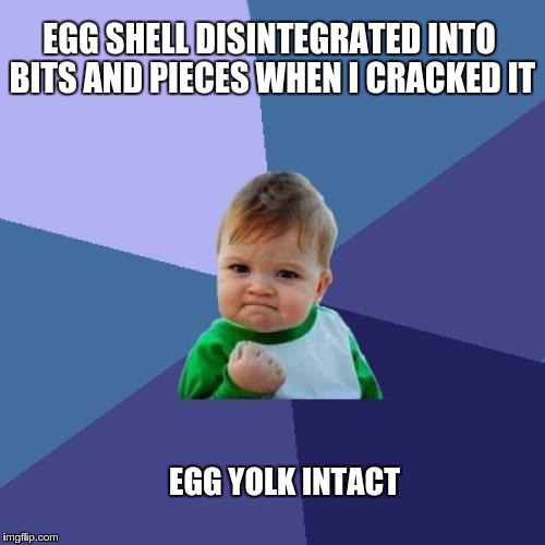 Success Kid Meme | EGG SHELL DISINTEGRATED INTO BITS AND PIECES WHEN I CRACKED IT EGG YOLK INTACT | image tagged in memes,success kid | made w/ Imgflip meme maker