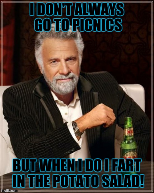 The Most Interesting Man In The World | I DON'T ALWAYS GO TO PICNICS BUT WHEN I DO I FART IN THE POTATO SALAD! | image tagged in memes,the most interesting man in the world | made w/ Imgflip meme maker