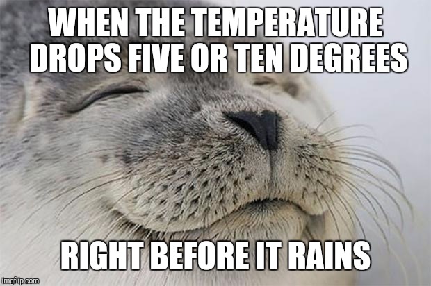 Satisfied Seal Meme | WHEN THE TEMPERATURE DROPS FIVE OR TEN DEGREES RIGHT BEFORE IT RAINS | image tagged in memes,satisfied seal,AdviceAnimals | made w/ Imgflip meme maker