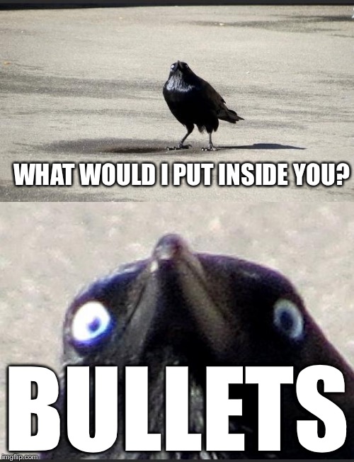 Every time a girl says that to me, I get my gun. | WHAT WOULD I PUT INSIDE YOU? BULLETS | image tagged in insanity crow | made w/ Imgflip meme maker