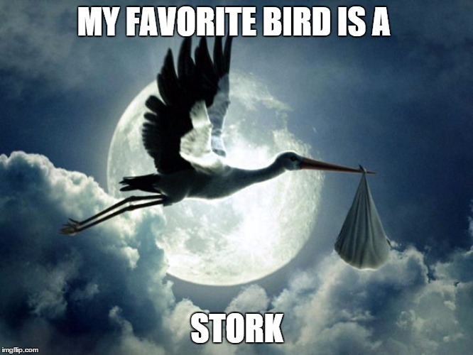 MY FAVORITE BIRD IS A STORK | image tagged in babies | made w/ Imgflip meme maker
