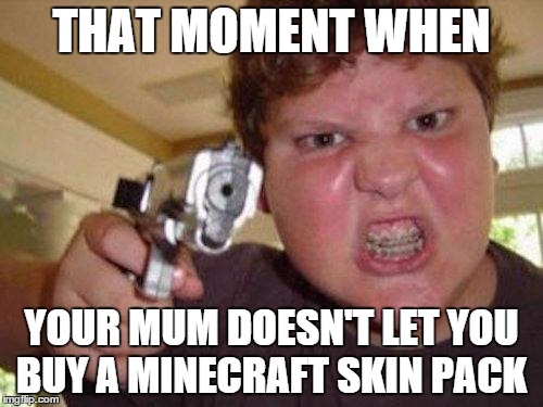 minecrafter | THAT MOMENT WHEN YOUR MUM DOESN'T LET YOU BUY A MINECRAFT SKIN PACK | image tagged in minecrafter | made w/ Imgflip meme maker