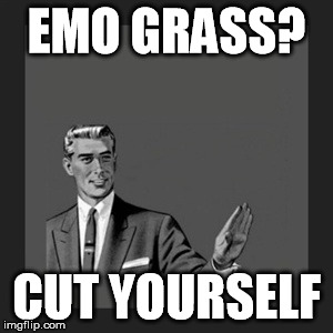 Kill Yourself Guy Meme | EMO GRASS? CUT YOURSELF | image tagged in memes,kill yourself guy | made w/ Imgflip meme maker