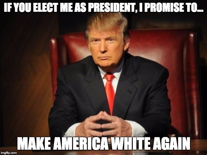 Trump - Make America White Again | IF YOU ELECT ME AS PRESIDENT, I PROMISE TO… MAKE AMERICA WHITE AGAIN | image tagged in donald trump | made w/ Imgflip meme maker