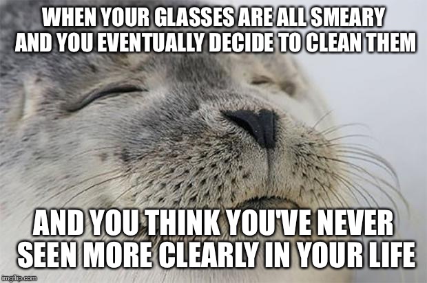 Satisfied Seal | WHEN YOUR GLASSES ARE ALL SMEARY AND YOU EVENTUALLY DECIDE TO CLEAN THEM AND YOU THINK YOU'VE NEVER SEEN MORE CLEARLY IN YOUR LIFE | image tagged in memes,satisfied seal,AdviceAnimals | made w/ Imgflip meme maker