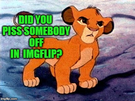 DID YOU PISS SOMEBODY OFF IN  IMGFLIP? | image tagged in lion prince | made w/ Imgflip meme maker