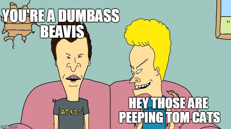 Bravos and Butthead | YOU'RE A DUMBASS BEAVIS HEY THOSE ARE PEEPING TOM CATS | image tagged in bravos and butthead | made w/ Imgflip meme maker